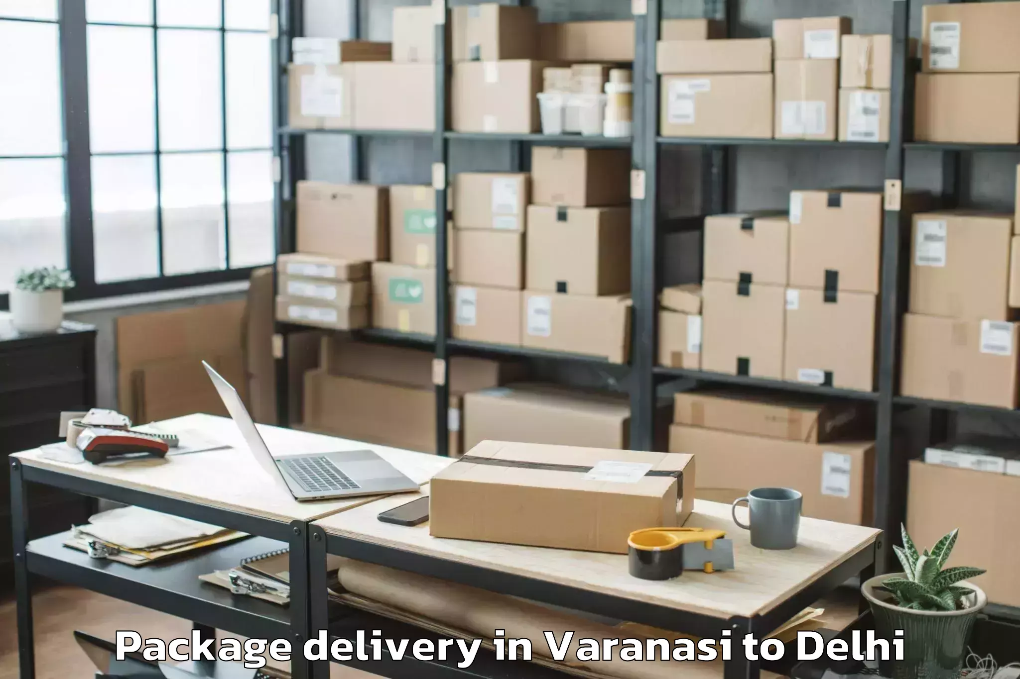 Book Varanasi to Alipur Package Delivery